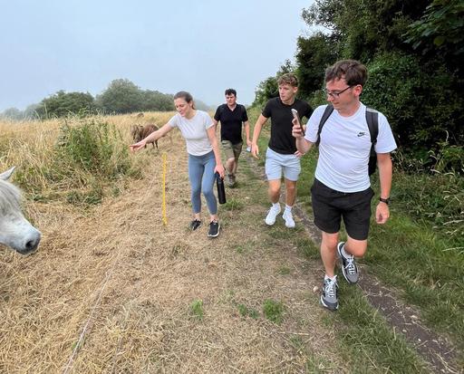 Participants taking a photo of a horse